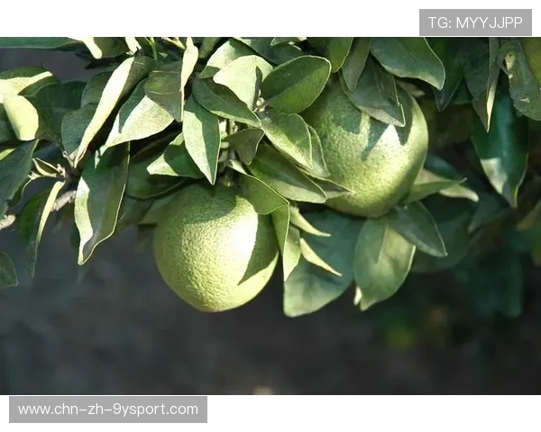 ¦ó©¨-ó¦®+¿ÃÓ-ÛÍÏ¢¿ð-Íð-Àú¦-§¤=+¦+¦Á-¦Ï+³Ê+¦¢